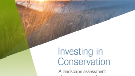 Investing in Conservation; A Landscape Assessment of an emerging market
