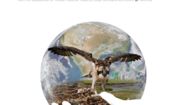 The Futures of Privately Protected Areas; Developing Capacity for a Protected Planet