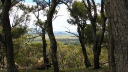 Integration of private land conservation areas in a network of statutory protected areas: Implications for sustainability