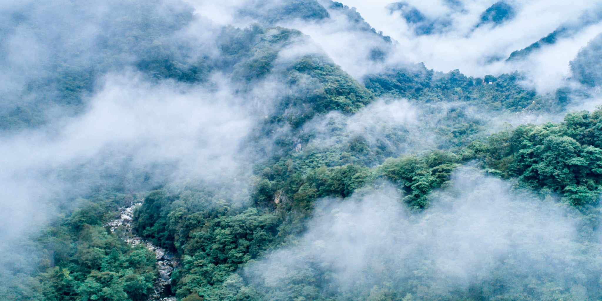 Home International Land Conservation Network