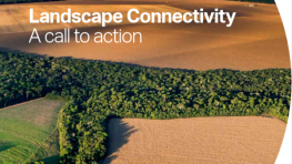 Landscape Connectivity: A call to action