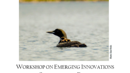 Report on the Workshop on Emerging Innovations in Conservation Finance