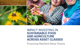 Impact Investing in Sustainable Food and Agriculture across Asset Classes: Financing Resilient Value Chains through Total Portfolio Activation