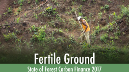 Fertile Ground: State of Forest Carbon Finance 2017