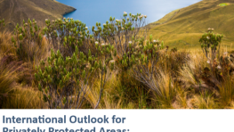 Summary Report – International Outlook for Privately Protected Areas