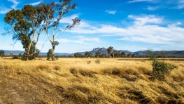 COVID recovery in Australasia – Searching for silver linings for the private land sector