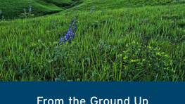 From the Ground Up: How Land Trusts and Conservancies are Providing Solutions to Climate Change