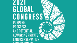Report on the 2021 ILCN-ELCN Global Congress