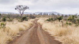 The Sustainable Landscape Finance Coalition’s Finance Solution Approach:
