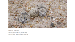 The Partnership for Gulf Coast Land Conservation: Catalyzing Natural Climate Solutions for Coastal Resilience in the Gulf Coast