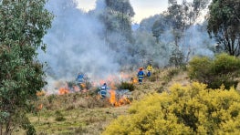 In Australia, Bush Heritage and Traditional Owners are leading  the way by integrating Indigenous stewardship practices