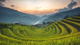 Legal frameworks for land conservation in Vietnam and Cambodia leave room for community-based conservation