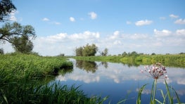 In Germany, a child’s dream of restoring the Havel River to its natural state is realized by generations of collaborative conservation