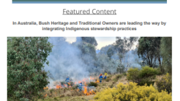 September 2022 ILCN Newsletter