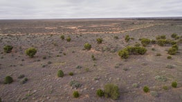 Building a nature-positive economy in the Australasia region and beyond: Voluntary Biodiversity Markets in Australia and New Zealand.