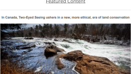 January 2023 ILCN Newsletter