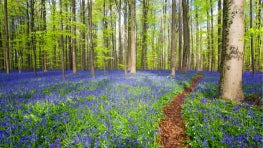 Belgium for Biodiversity makes space for private land protection in the European Union
