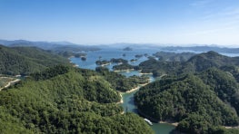 Liu to lead flagship civic land conservation program in China