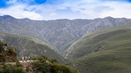 In a salute to the last Knysna elephant, this South African NGO established a 50,000-hectare biodiversity corridor