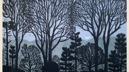 Landscapes from New Mexico to South Carolina inspire Kent Ambler’s woodcuts