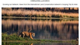 May 2023 ILCN Newsletter