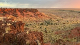 Conservation covenants: Innovating for the future