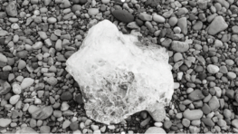 Art, Communication, and Science Intersect in Cheung’s Environmental Work, Which Explores the Human-Nature Relationship