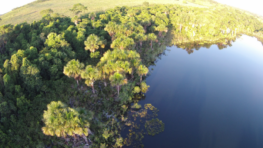 In Latin America, the ILCN Ushers in a New, More Robust Network of Conservationists