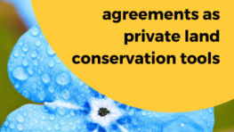 State of the art and the potential for further development of conservation agreements as private land conservation tools