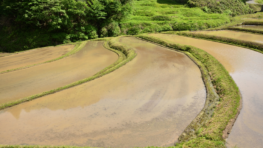 A Renowned Honda Racetrack Certified as one of Japan’s First OECMs