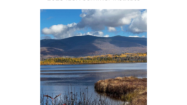Final Report of the 2023 ILCN Summer Institute