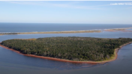 Evolving Conservation for Culture: How Conservation Organizations are Adapting Existing Tools and Approaches to Recognize Indigenous Values, Practices, and Priorities