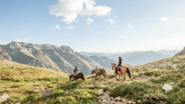 Fundación Tierra Austral: The Chilean Land Trust Behind a Historic Civil Law Innovation