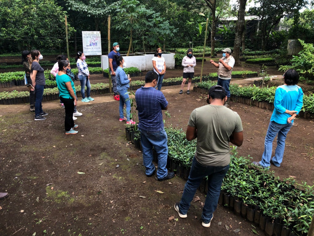 A group stands among rows of garden beds full of small green leafy plants, listening to a single speaker. 