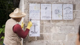 Topote de Acahual: Learning the Languages of a Regrown Jungle Through Art, Writing, and Health