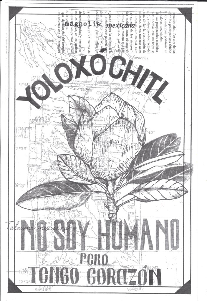 A poster made by a participant. A leafy plant is the main image, printed in black over a white background and a faded grey map of the region. Above and below the plant, in black block letters, the poster reads Yoloxochitl No Soy Humano Pero Tengo Corazon.