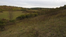 The Agricultural Context for the EU’s Unprecedented Nature Restoration Law