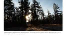Saving Land and Culture: How Indigenous-Led Conservation Can Protect Half of Eeyou Istchee by 2035