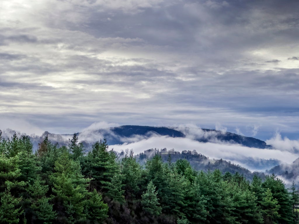 Rising behind a cluster of pines, the tops of a mountain range meet a clouded sky.