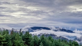 The Conservancies Model: How France has Mobilized over 8,000 Volunteers as a Voice for Nature