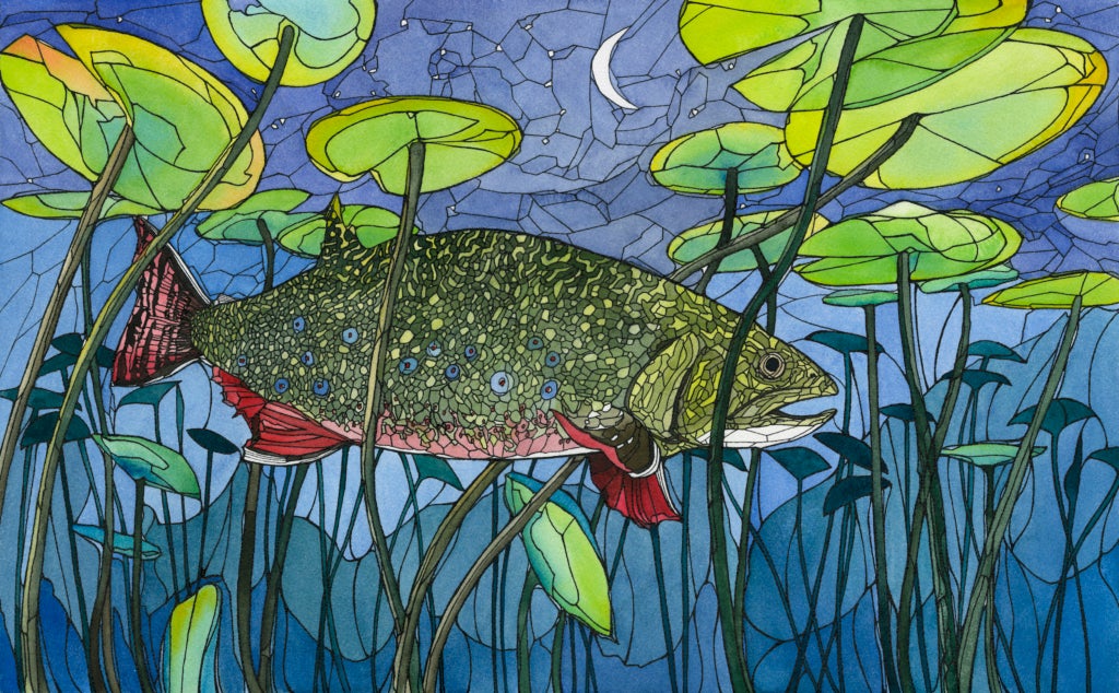 A watercolor and ink illustration of a fish in a lilypad pond at night.