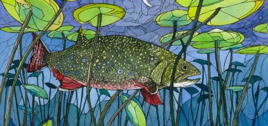 A watercolor and ink illustration of a fish in a lilypad pond at night.