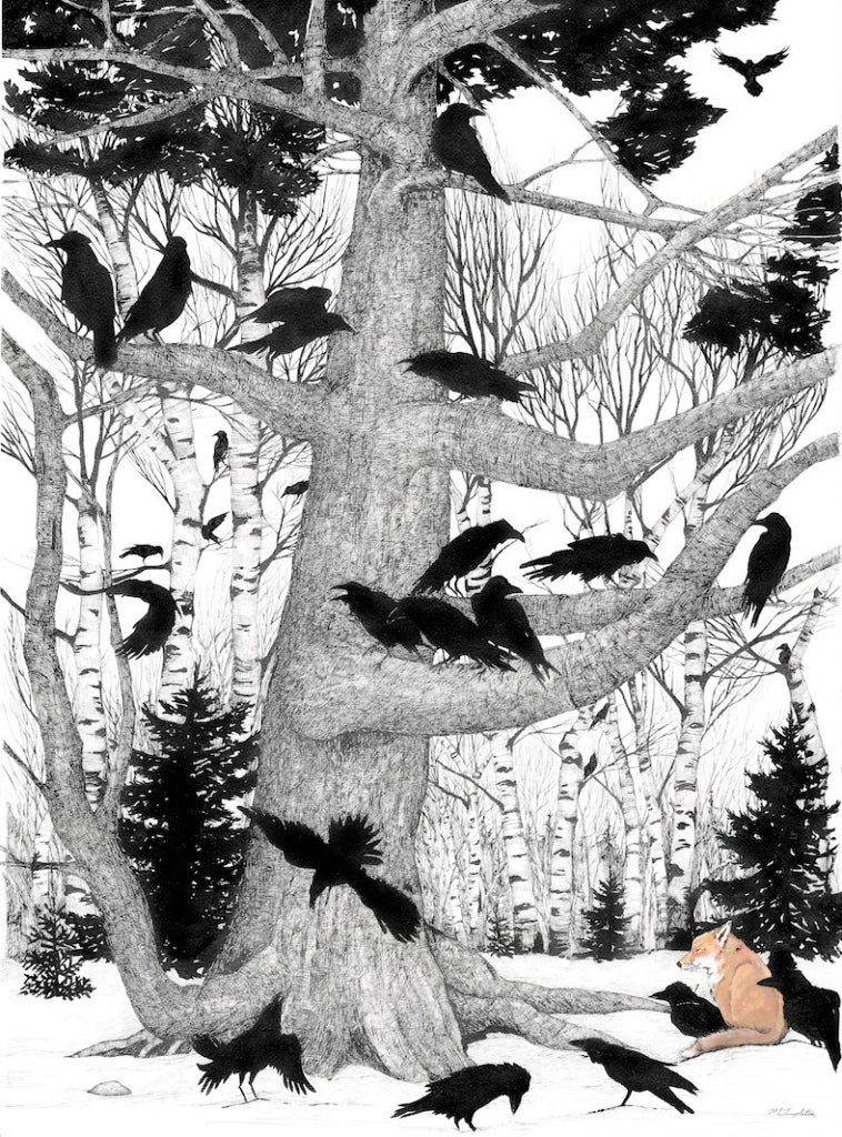 A pen and ink drawing of crows in a tree. At its foot lies a fox, the only part of the illustration that is in color. 