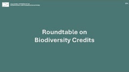 CF4: Roundtable on Biodiversity Credits