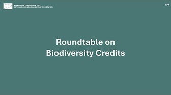 CF4: Roundtable on Biodiversity Credits