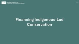 CF3: Financing Indigenous Led Conservation