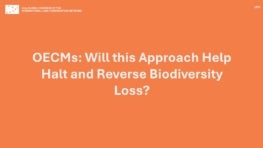 LP3: OECMs: Will this Approach Help Halt and Reverse Biodiversity Loss?