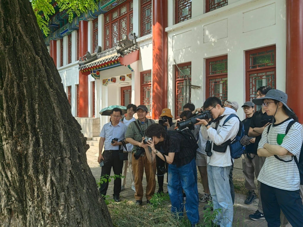 Students and professors from Peking University observe a bees nest in a tree on campus. They gather around the trunk, pointing cameras at the nest. 