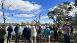 Local Action, Lasting Impact: Land Covenantors Victoria Unites for Conservation