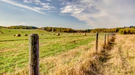 What Canada’s New Land Trust Certification Means for Conservation Globally